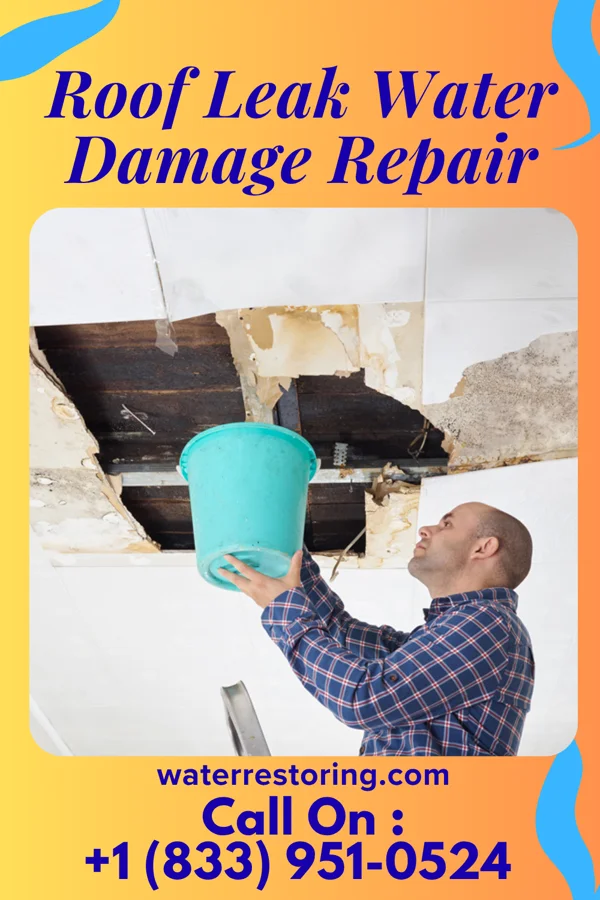 Roof Leak Water Damage Repair in New Leipzig, ND
