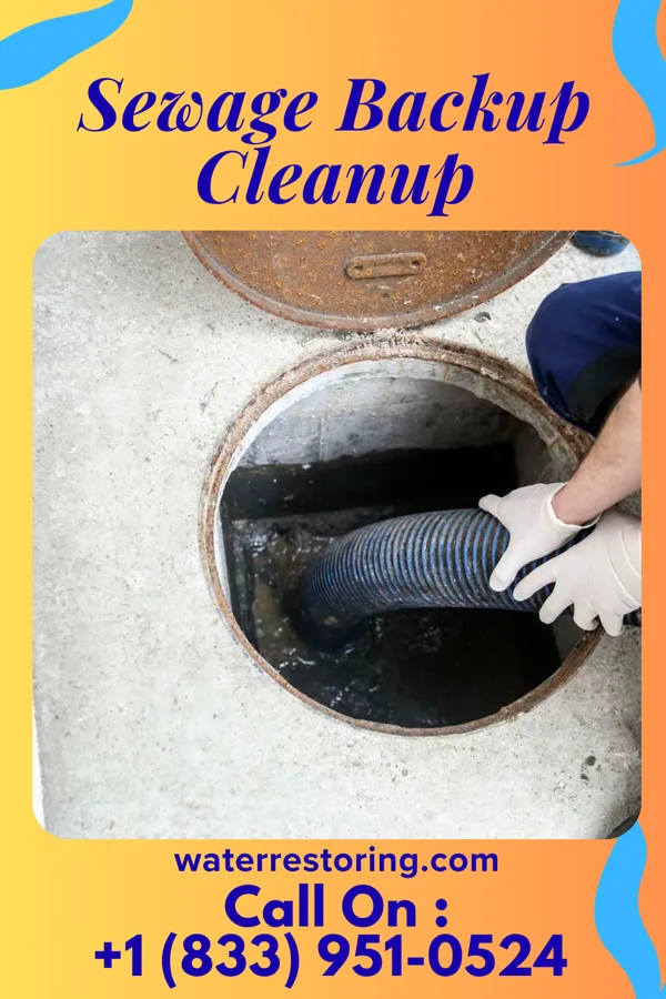 Sewage Backup Cleanup in New Leipzig, ND